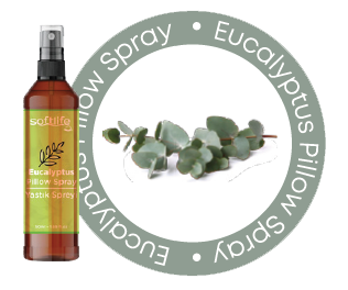 eucalyptus bottle