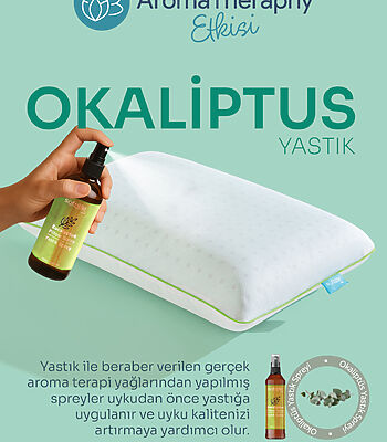 Okaliptus3