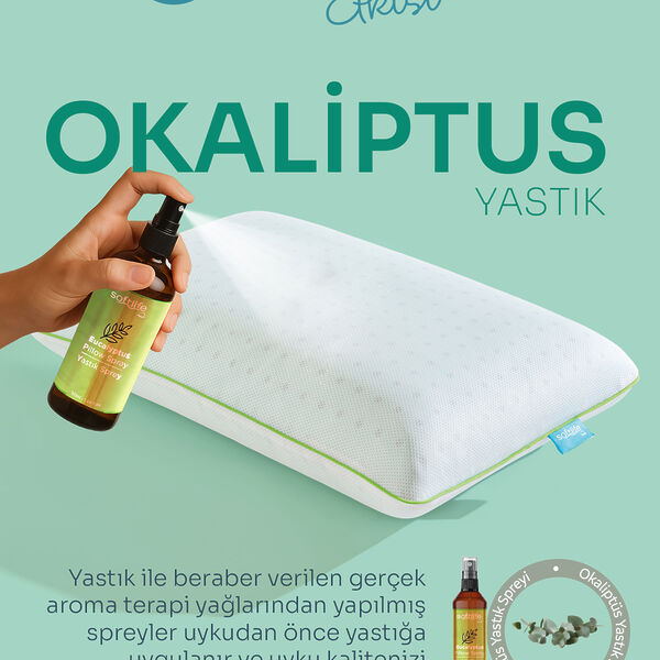 Aroma Terapi Okaliptüs Visco Yastık Ve Yastık Spreyi 60X40X15cm