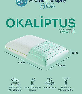 Okaliptus4