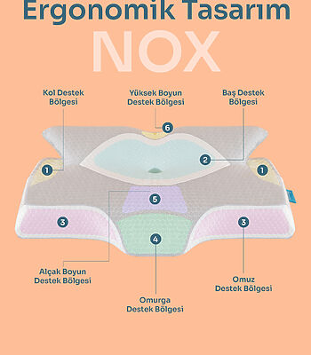 nox2
